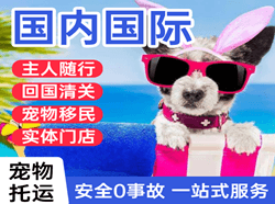 十堰武当山机场快运国际宠物托运 【国